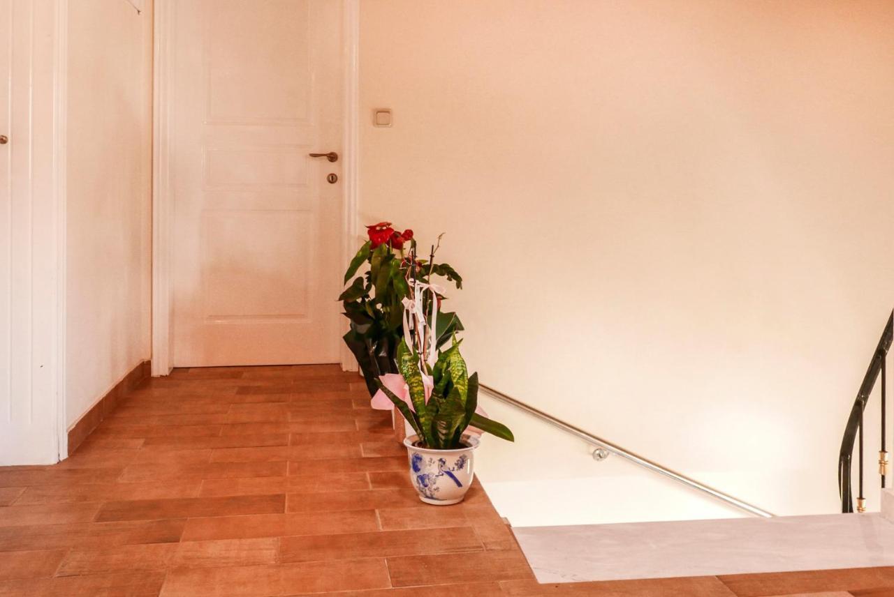 Lovely 2 Bedroom Condo In Corfu Anemomilos Anemomylos Zewnętrze zdjęcie